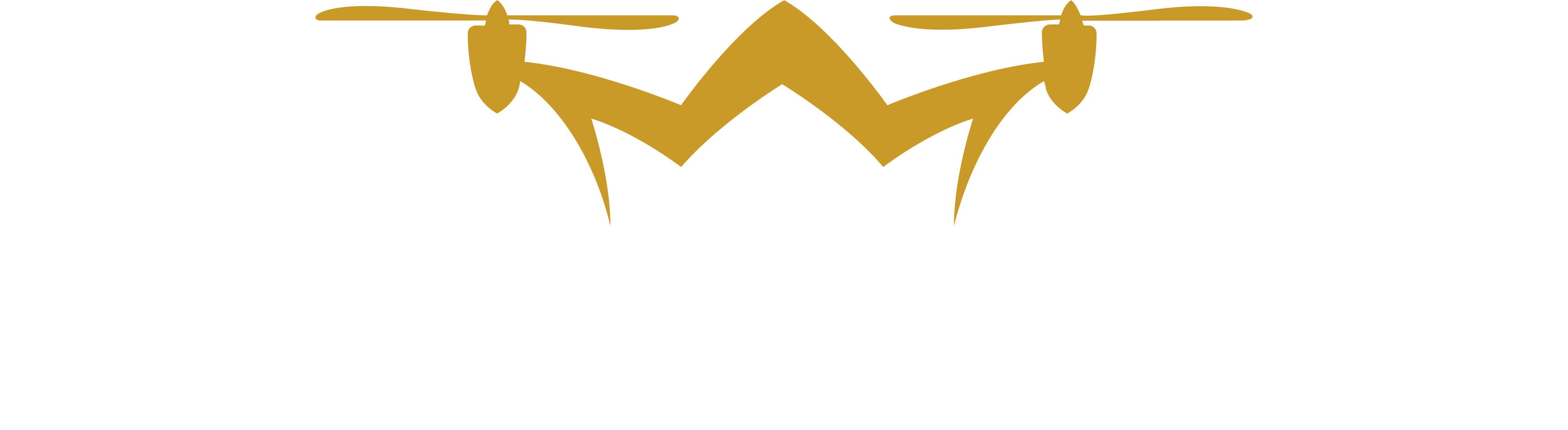 DRONESKAN logo